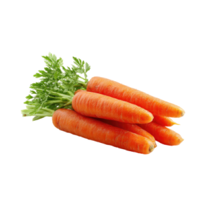 Zanahorias