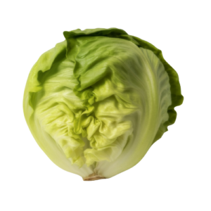 Lechuga Escarola