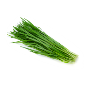 Ciboulette