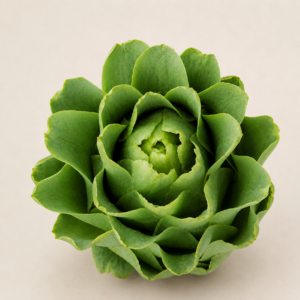 Alcachofa Española (UN)