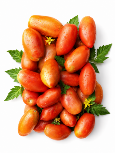 Tomate Pomarola